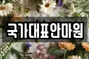 국가대표안마원