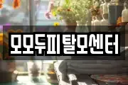 모모두피탈모센터