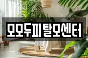 모모두피탈모센터
