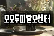 모모두피탈모센터