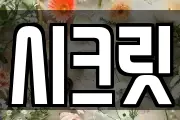 경상북도 포항시 북구 환호동 마사지, 지압등 업체정보