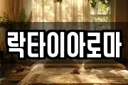락타이아로마