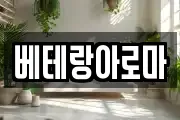 베테랑아로마