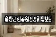 광주광역시 광산구 송산동 마사지, 지압등 업체정보