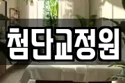 첨단교정원