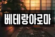 베테랑아로마