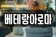베테랑아로마