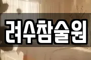 려수참술원