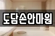 도담손안마원