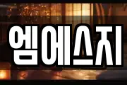 엠에스지