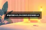 광주출장컴퓨터수리노트북수리아이폰스마트폰아이패드수리