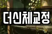 더신체교정