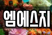엠에스지