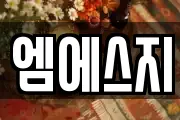 엠에스지
