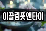 이끌림풋앤타이