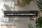 광주출장컴퓨터수리노트북수리아이폰스마트폰아이패드수리