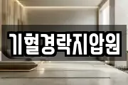 기혈경락지압원
