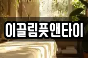 이끌림풋앤타이