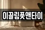 이끌림풋앤타이