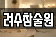 려수참술원