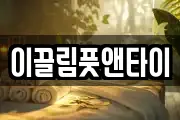 이끌림풋앤타이
