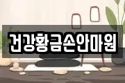 건강황금손안마원