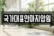 국가대표안마지압원