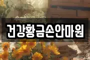 건강황금손안마원