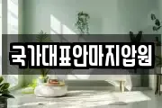국가대표안마지압원