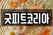 굿피트코리아