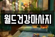 광주광역시 북구 본촌동 마사지, 지압등 업체정보