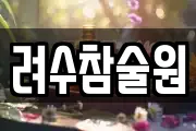 려수참술원