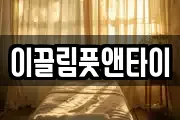 이끌림풋앤타이