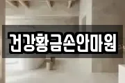 건강황금손안마원