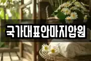 국가대표안마지압원