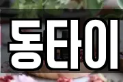 동타이