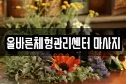 광주광역시 북구 오룡동 마사지, 지압등 업체정보