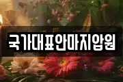국가대표안마지압원