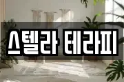 스텔라 테라피