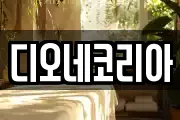 광주광역시 북구 월출동 마사지, 지압등 업체정보