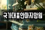 국가대표안마지압원