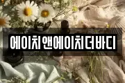 에이치앤에이치더바디
