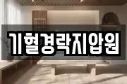 기혈경락지압원