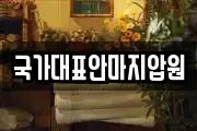 국가대표안마지압원