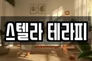 스텔라 테라피