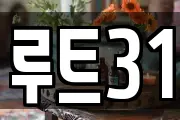 루트31