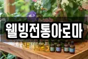 웰빙전통아로마