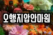오행지압안마원