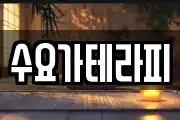 수요가테라피