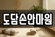 도담손안마원